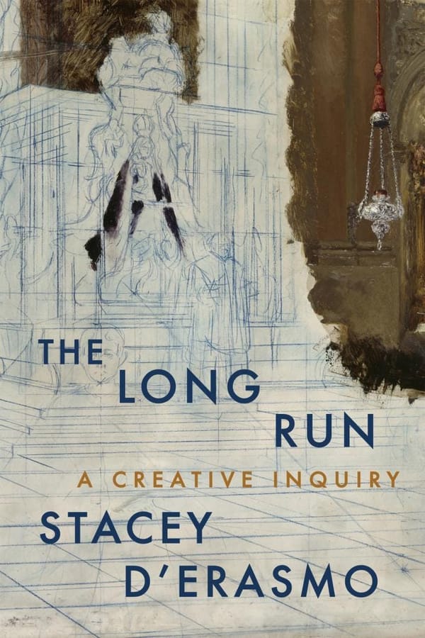 Review: The Long Run, Stacey d'Erasmo